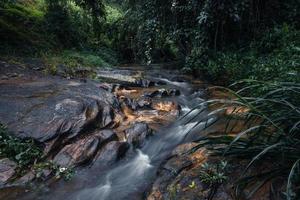 Strom nach Regen im tropischen Wald foto