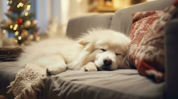 süß samoyed Hund Schlafen auf Sofa im Leben Zimmer beim Zuhause ai generiert foto