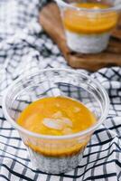 Chia Saat Pudding mit Mango Püree foto