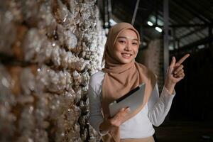 jung asiatisch Muslim weiblich Wissenschaftler Forschung Arbeit beim Pilz Fabrik, Sammeln reifen Pilze im Pilz Haus zum Labor Experimente. foto
