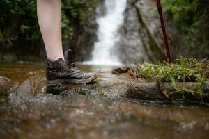 Wandern Schuhe auf ein Log oder Felsen im das Wald. foto