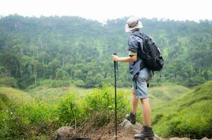 jung Mann mit Rucksack Wandern im das Wald. aktiv Lebensstil Konzept. foto