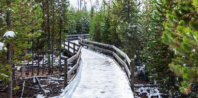 verschneite Wanderbrücke in den Kiefernwald im Winter.