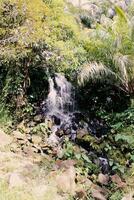 klein Wasserfall im das Garten Teich von ein Öl Palme Plantage foto