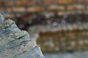 rustikal Eleganz. Backstein Gut und Ecke verschwommen mit Bokeh, andalusisch Blumenbeet foto