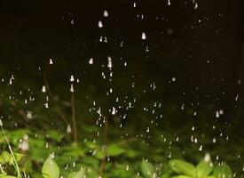 Regen auf das Straße beim Nacht mit Beleuchtung foto