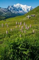 Französisch Alpen Landschaft foto