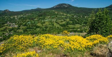 ein Aussicht von das Berge und Felder mit Gelb Blumen foto