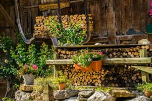 regional natürlich Park von Bauges foto