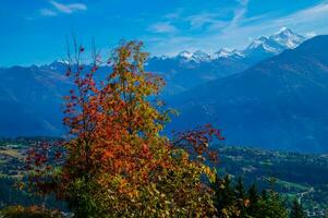 schweizerisch Alpen Landschaft foto