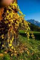 Französisch Alpen Landschaft foto