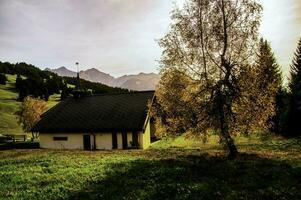 ein klein Haus Sitzung im ein Feld mit ein Baum im das Hintergrund foto