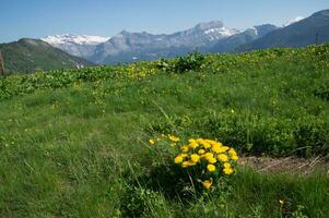 Landschaft von das Französisch Alpen foto