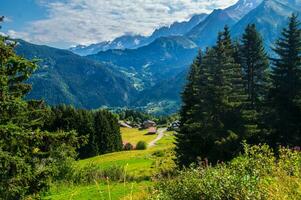 hölzern Gehweg im das Berge foto