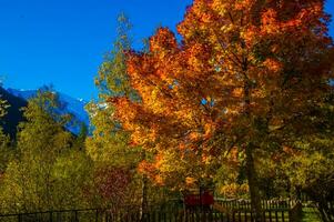 Herbst in den Bergen foto