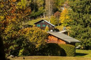 Herbst im das Alpen, Italien foto