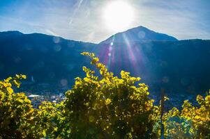 Auszahlung des Alpen suisse en automne foto