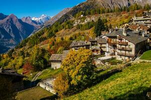 Auszahlung des Alpen suisse en automne foto