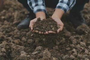 Symbol Herz Erde Tag. Hand voll von Schmutz Hände Herz Form. Bauernhof organisch Erde. Farmer Hände Boden Boden Erde Schmutz Garten Boden Bauernhof Boden. männlich Hände voll von fruchtbar Land Feld Landwirtschaft Konzept foto