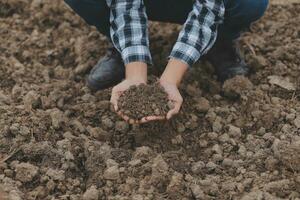 Symbol Herz Erde Tag. Hand voll von Schmutz Hände Herz Form. Bauernhof organisch Erde. Farmer Hände Boden Boden Erde Schmutz Garten Boden Bauernhof Boden. männlich Hände voll von fruchtbar Land Feld Landwirtschaft Konzept foto