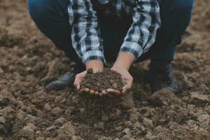 Symbol Herz Erde Tag. Hand voll von Schmutz Hände Herz Form. Bauernhof organisch Erde. Farmer Hände Boden Boden Erde Schmutz Garten Boden Bauernhof Boden. männlich Hände voll von fruchtbar Land Feld Landwirtschaft Konzept foto