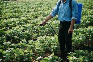 Landwirt nutzen das Ader Daten Netzwerk im das Internet von das Handy, Mobiltelefon zu bestätigen, prüfen, und wählen das Neu Ernte Methode. jung Bauern und Tabak Landwirtschaft foto