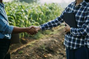 Landwirt nutzen das Ader Daten Netzwerk im das Internet von das Handy, Mobiltelefon zu bestätigen, prüfen, und wählen das Neu Ernte Methode. jung Bauern und Tabak Landwirtschaft foto