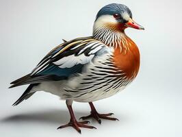 Mandarin Ente isoliert auf Weiß Hintergrund. 3d Illustration. Studio. ai generativ foto