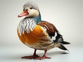 Mandarin Ente isoliert auf Weiß Hintergrund. 3d Illustration. Studio. ai generativ foto