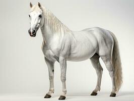Weiß arabisch Pferd mit lange Mähne isoliert auf Weiß Hintergrund. 3d Wiedergabe. ai generativ foto