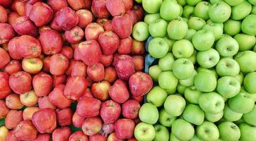 Frucht roter und grüner Bio-Apfel