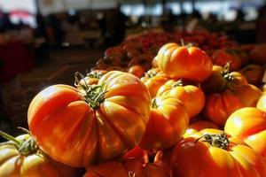 gesunde und saftige Gemüsetomate foto