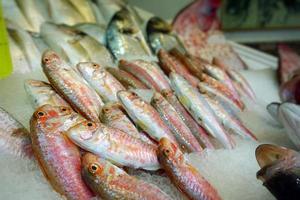 Fischfutter in einem Fischmarktstand foto