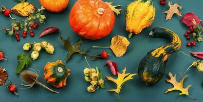 Herbst Herbarium und Kürbisse foto