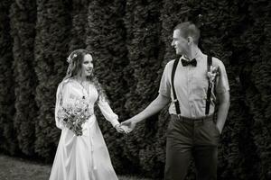 Hochzeit gehen von das Braut und Bräutigam im ein Nadelbaum foto