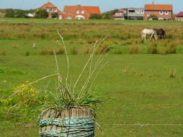 die insel langeoog foto