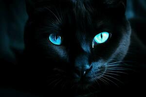 zauberhaft schwarz Katze Blau Augen. generieren ai foto