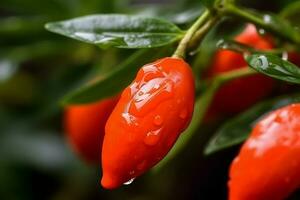 Goji Beeren Obst Natur. generieren ai foto