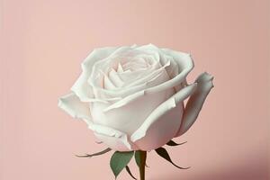 Rose auf Valentinstag Tag Pastell- Hintergrund. generativ ai. foto