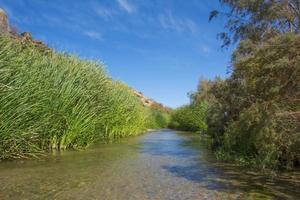 Arabischer Fluss bei Taif, Saudi-Arabien foto