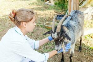 junge tierärztin mit stethoskop, die ziege auf ranchhintergrund hält und untersucht. junge ziege mit tierarzthänden zur untersuchung in einer natürlichen ökofarm. Tierpflege und ökologisches Landwirtschaftskonzept. foto