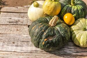 herbstlicher Hintergrund. natürliche herbstherbstansichtkürbise auf hölzernem hintergrund. inspirierende oktober- oder septembertapete. Wechsel der Jahreszeiten reifes Bio-Lebensmittel-Konzept, Halloween-Party-Erntedankfest foto