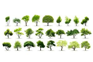 ein Sammlung von anders Typen von Bäume. generativ ai foto