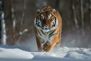ein Tiger Gehen durch das Schnee im das Wald. generativ ai foto
