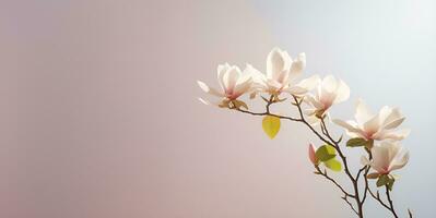 schön Jasmin Blume Makro leer Raum, ai generativ foto