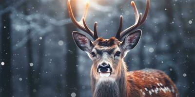 Hirsch im ein Winter schneebedeckt Wald ,Weihnachten Szene ,generativ ai. foto