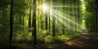 schön Strahlen von Sonnenlicht im ein Grün Wald. generativ ai foto