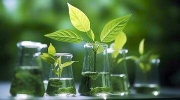 Biotechnologie Konzept mit Grün Pflanze Blätter, Labor Glaswaren, und Dirigieren Forschung, illustrieren das mächtig Kombination von Natur und Wissenschaft im medizinisch Fortschritte. ai generativ foto