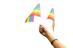 Regenbogen Flagge auf Weiß Hintergrund. es ist ein Symbol von lesbisch, Fröhlich, bisexuell, und Transgender Stolz und lgbt Sozial Bewegungen. ebenfalls bekannt wie das Fröhlich Stolz Flagge oder lgbt. foto