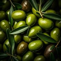 Olive Hintergrund Hintergrund foto